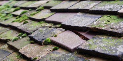 Woodditton roof repair costs